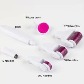 4 in 1 Derma Roller | Azra.pk